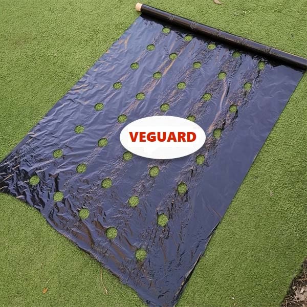 1+1 CADOU - Membrană Agricolă VEGUARD pentru Solarii și Grădină, Menține Umiditatea, 0.95 x 10 m